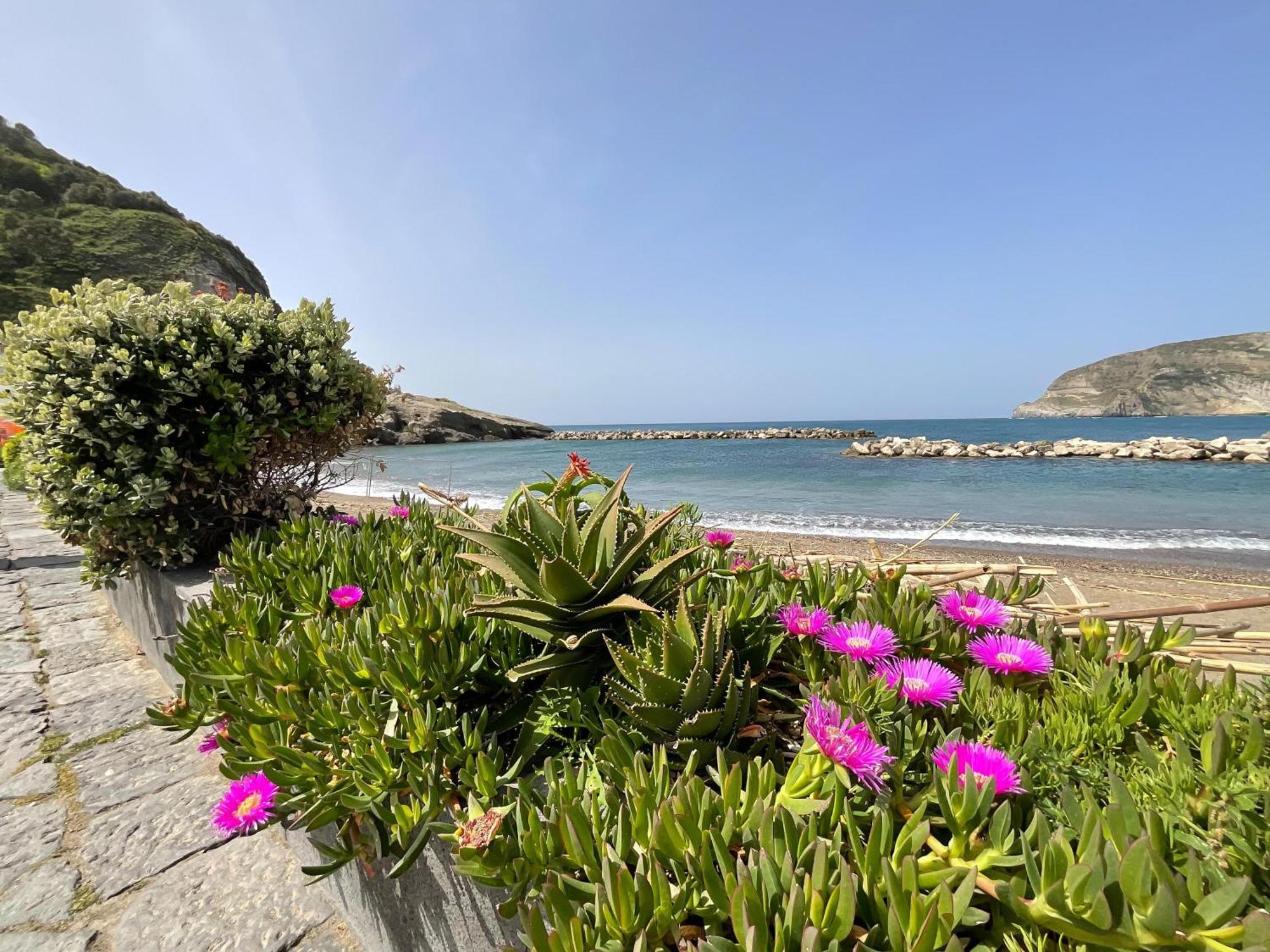 Casa Francesco Seaside Apartamento Sant'Angelo  Exterior foto